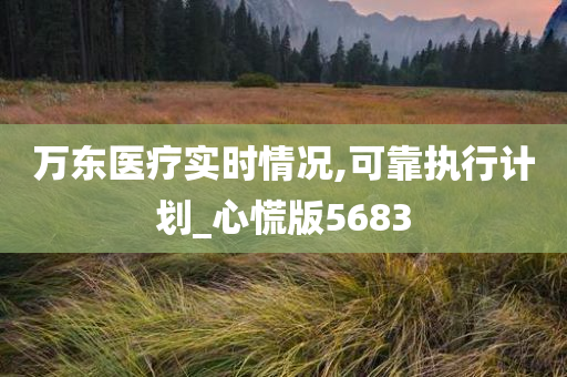 万东医疗实时情况,可靠执行计划_心慌版5683