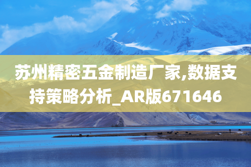 苏州精密五金制造厂家,数据支持策略分析_AR版671646