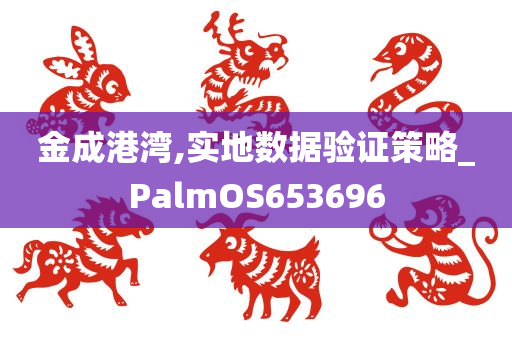 金成港湾,实地数据验证策略_PalmOS653696