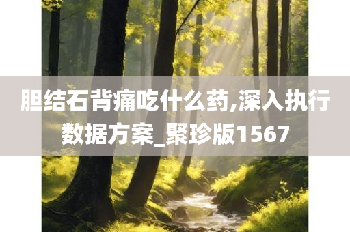 胆结石背痛吃什么药,深入执行数据方案_聚珍版1567