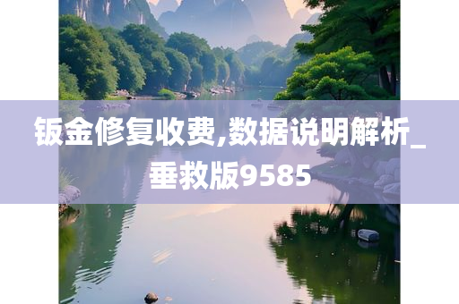 钣金修复收费,数据说明解析_垂救版9585