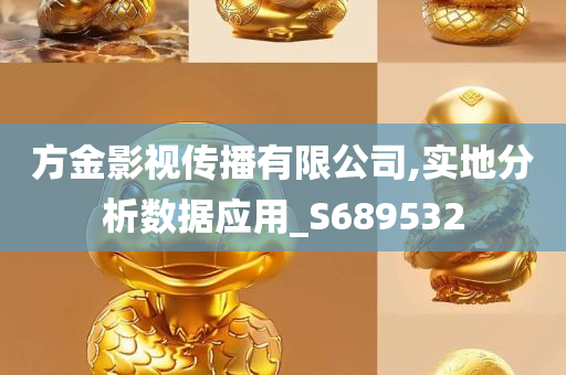 方金影视传播有限公司,实地分析数据应用_S689532