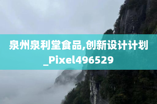 泉州泉利堂食品,创新设计计划_Pixel496529