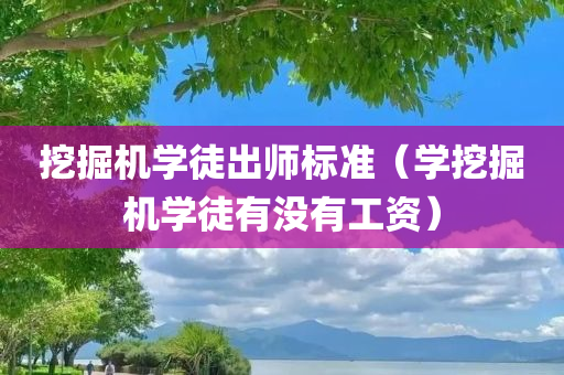 挖掘机学徒出师标准（学挖掘机学徒有没有工资）