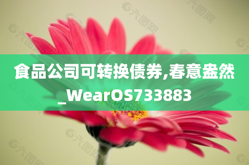 食品公司可转换债券,春意盎然_WearOS733883