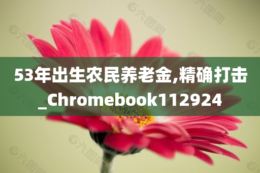 53年出生农民养老金,精确打击_Chromebook112924