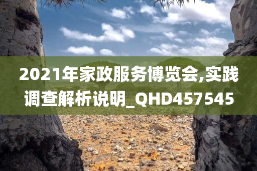 2021年家政服务博览会,实践调查解析说明_QHD457545