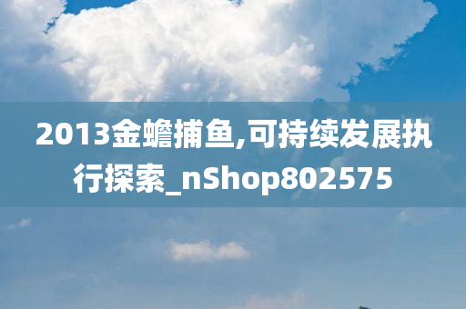 2013金蟾捕鱼,可持续发展执行探索_nShop802575