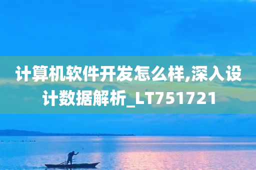 计算机软件开发怎么样,深入设计数据解析_LT751721