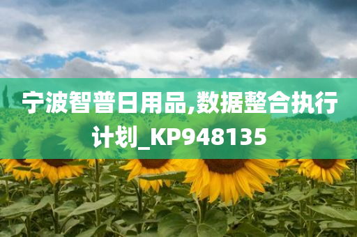 宁波智普日用品,数据整合执行计划_KP948135