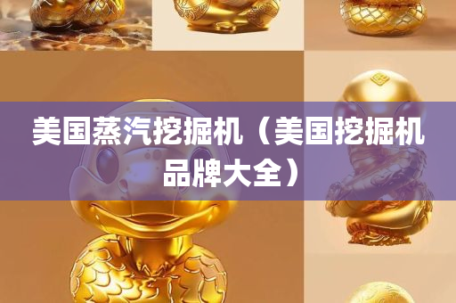 美国蒸汽挖掘机（美国挖掘机品牌大全）