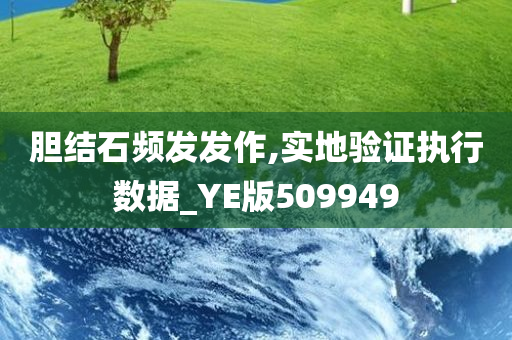 胆结石频发发作,实地验证执行数据_YE版509949