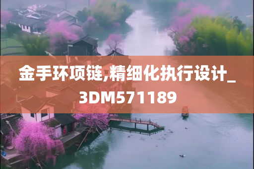 金手环项链,精细化执行设计_3DM571189