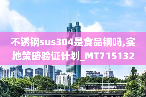 不锈钢sus304是食品钢吗,实地策略验证计划_MT715132