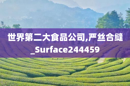 世界第二大食品公司,严丝合缝_Surface244459