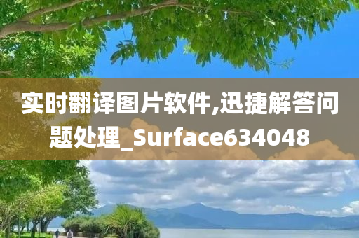 实时翻译图片软件,迅捷解答问题处理_Surface634048