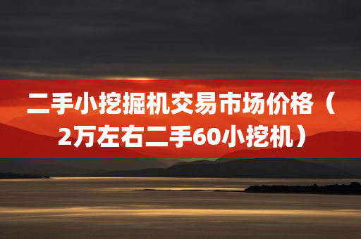 二手小挖掘机交易市场价格（2万左右二手60小挖机）