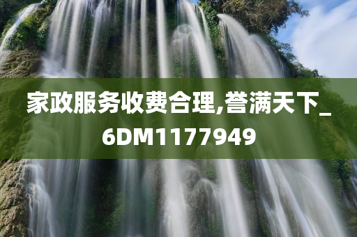 家政服务收费合理,誉满天下_6DM1177949