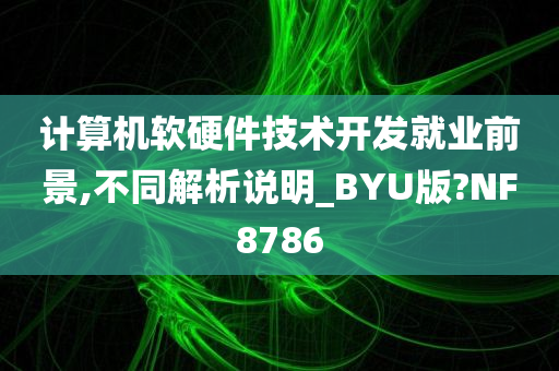 计算机软硬件技术开发就业前景,不同解析说明_BYU版?NF8786