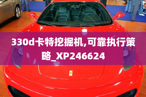 330d卡特挖掘机,可靠执行策略_XP246624