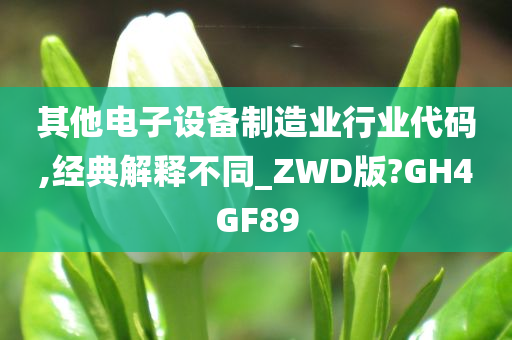 其他电子设备制造业行业代码,经典解释不同_ZWD版?GH4GF89