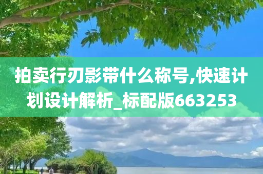 拍卖行刃影带什么称号,快速计划设计解析_标配版663253