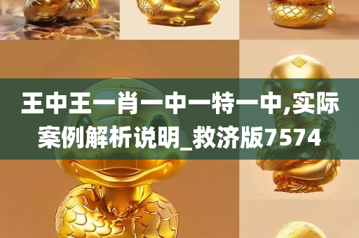 王中王一肖一中一特一中,实际案例解析说明_救济版7574