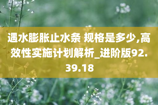 遇水膨胀止水条 规格是多少,高效性实施计划解析_进阶版92.39.18