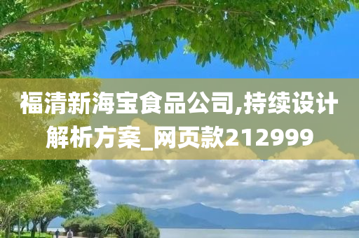 福清新海宝食品公司,持续设计解析方案_网页款212999