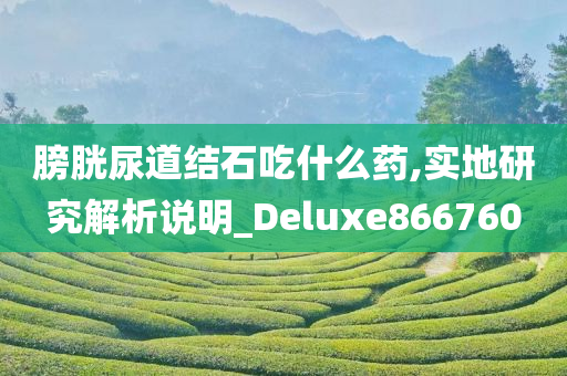 膀胱尿道结石吃什么药,实地研究解析说明_Deluxe866760