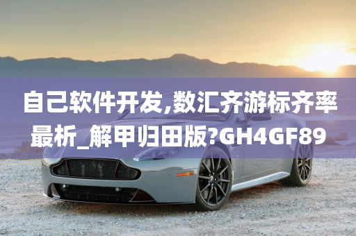 自己软件开发,数汇齐游标齐率最析_解甲归田版?GH4GF89