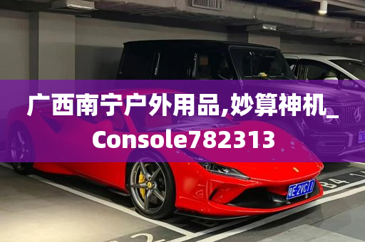 广西南宁户外用品,妙算神机_Console782313