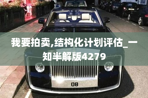 我要拍卖,结构化计划评估_一知半解版4279