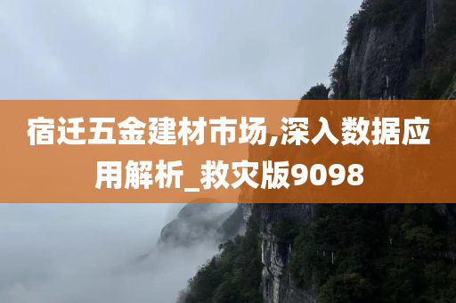 宿迁五金建材市场,深入数据应用解析_救灾版9098