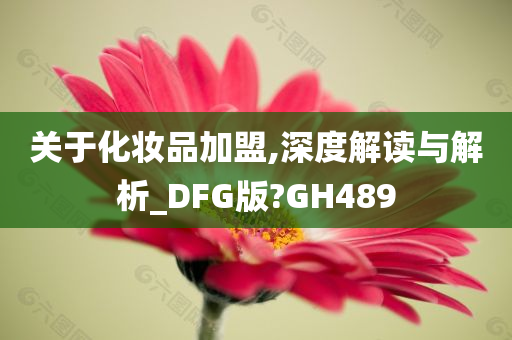 关于化妆品加盟,深度解读与解析_DFG版?GH489