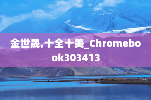 金世晟,十全十美_Chromebook303413