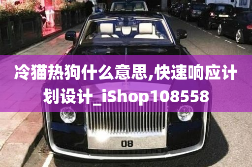 冷猫热狗什么意思,快速响应计划设计_iShop108558