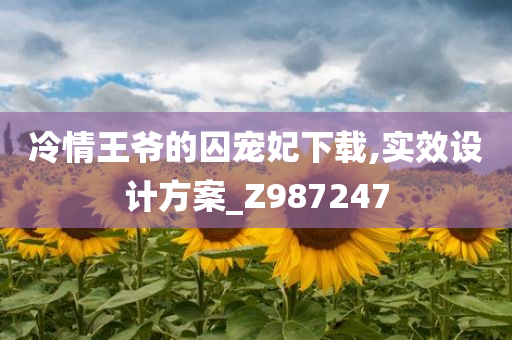 冷情王爷的囚宠妃下载,实效设计方案_Z987247