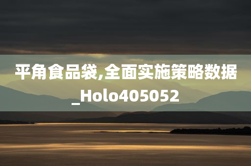 平角食品袋,全面实施策略数据_Holo405052