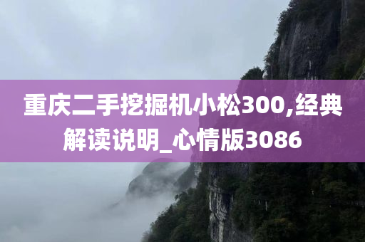 重庆二手挖掘机小松300,经典解读说明_心情版3086