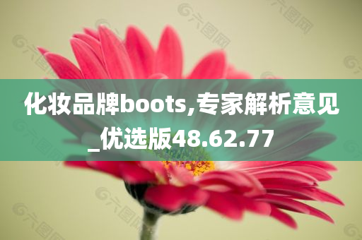 化妆品牌boots,专家解析意见_优选版48.62.77