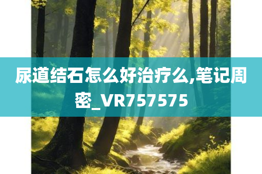 尿道结石怎么好治疗么,笔记周密_VR757575