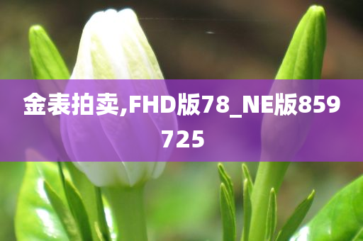 金表拍卖,FHD版78_NE版859725