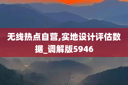 无线热点自营,实地设计评估数据_调解版5946