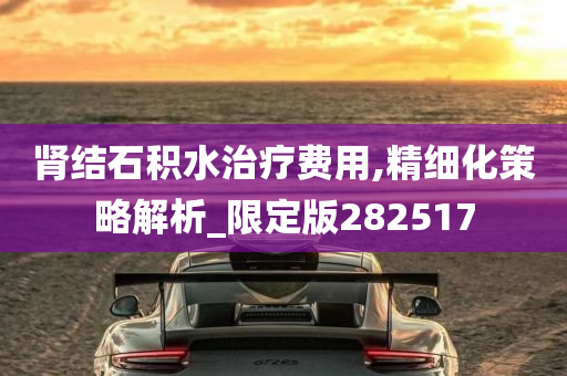 肾结石积水治疗费用,精细化策略解析_限定版282517