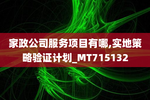 家政公司服务项目有哪,实地策略验证计划_MT715132