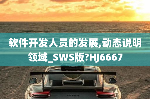 软件开发人员的发展,动态说明领域_SWS版?HJ6667