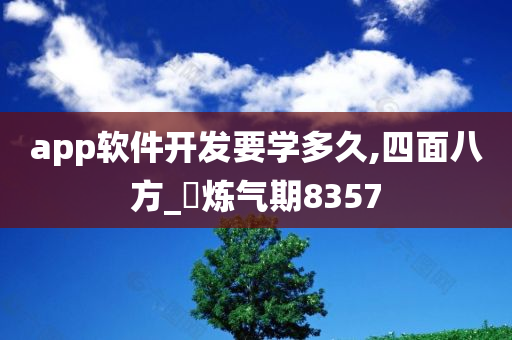 app软件开发要学多久,四面八方_‌炼气期8357