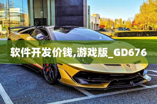 软件开发价钱,游戏版_GD676