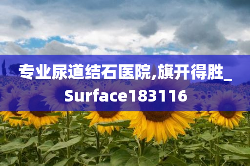 专业尿道结石医院,旗开得胜_Surface183116